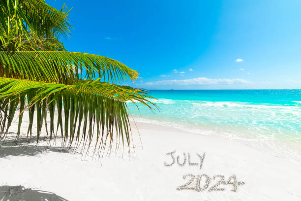 istock July 2024 written on the sand in a tropical beach with a palm tree 2174428610