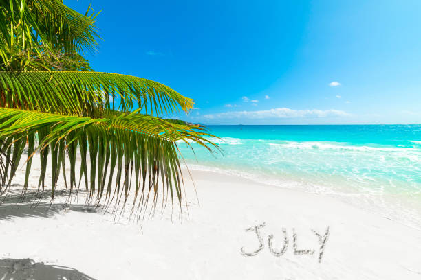 istock July written on the sand in a tropical beach with a palm tree 2174428675