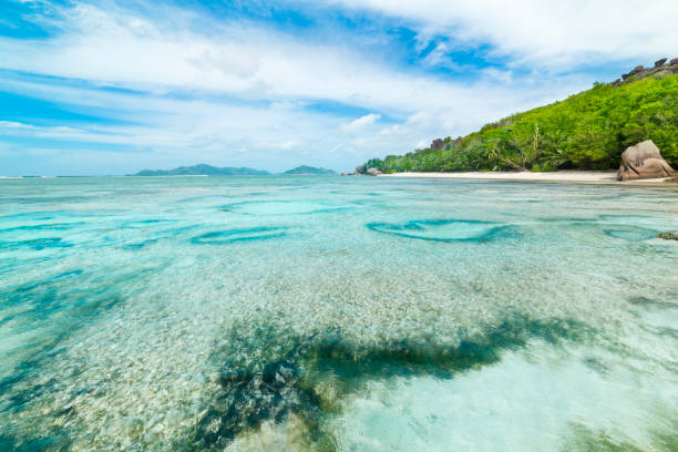 istock Coral reef and granite rocks in a tropical beach 2174428809