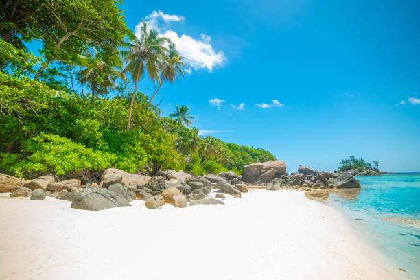 istock Blue sky over a tropical beach with palm trees and white sand 2174430195