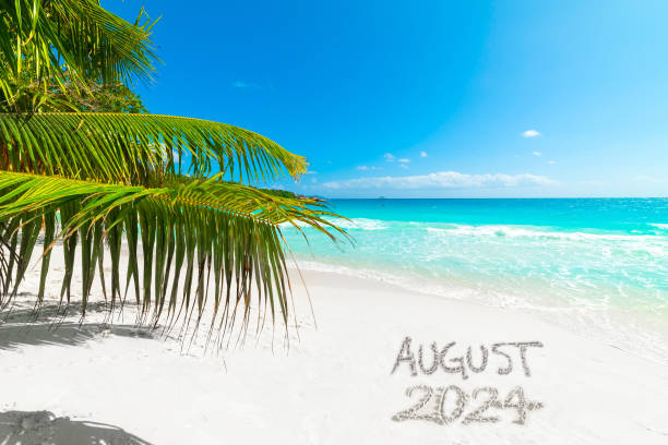 istock August 2024 written on the sand in a tropical beach with a palm tree 2174430349