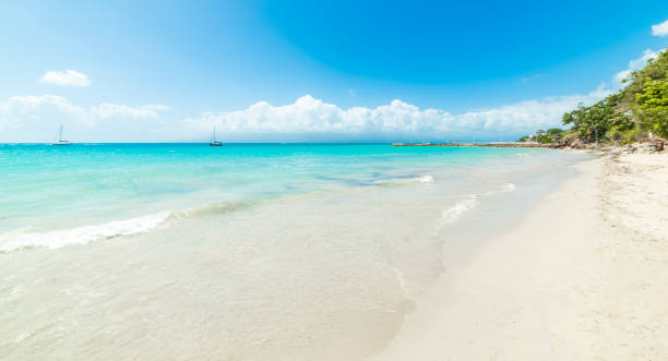 istock Turquoise water and white sand in a tropical beach 2174430376