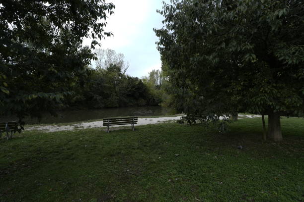 city park in the morning