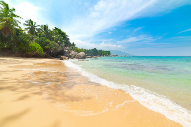 istock Tropical beach with golden sand and turquoise water 2174431233