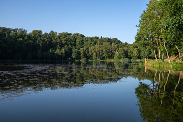 istock Eifel, Rhineland-Palatinate, Germany 2174439360