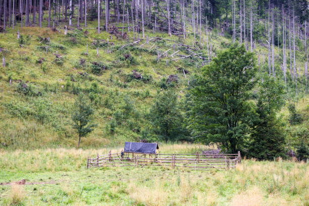 istock .a thatched animal pen in the foothills 2174445008