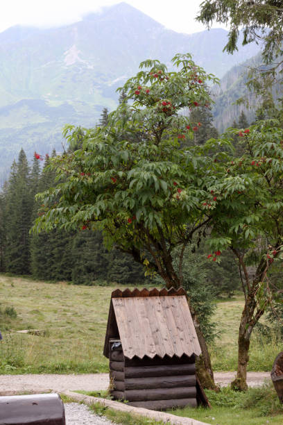 istock .small house shed in the mountains 2174445161