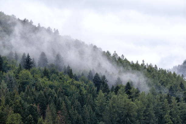 istock .fog on the mountain before the rain 2174445212