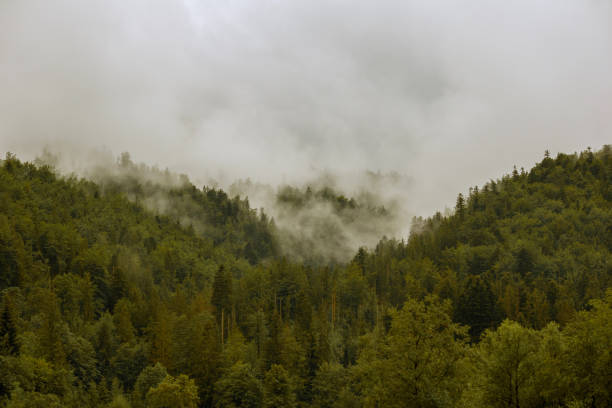 istock .fog on the mountain before the rain 2174445216