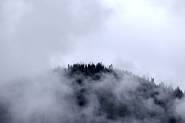 istock .fog on the mountain before the rain 2174445217