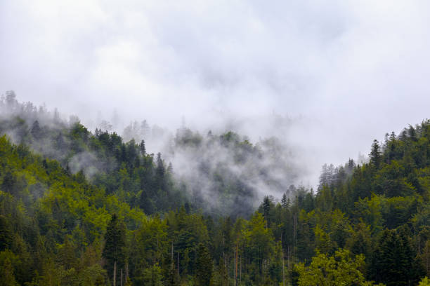 istock .fog on the mountain before the rain 2174445218