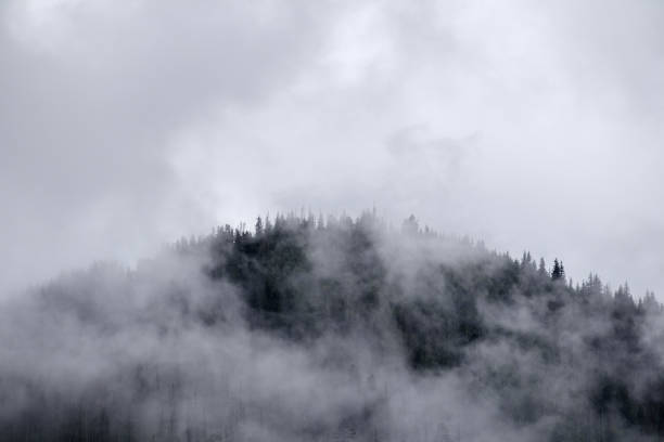 istock .fog on the mountain before the rain 2174445239