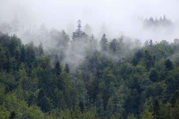 istock .fog on the mountain before the rain 2174445257