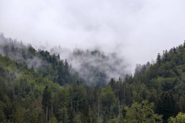 istock .fog on the mountain before the rain 2174445268