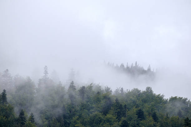 istock .fog on the mountain before the rain 2174445270