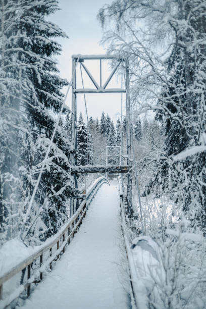 istock Vikakongas bridge in snowy forest over arctic river in Rovaniemi, Lapland 2174445324