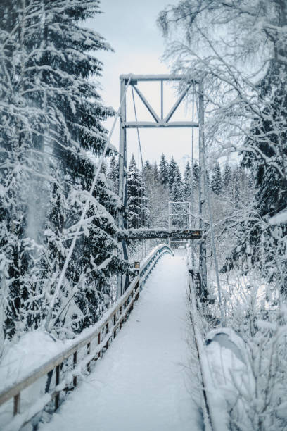 istock Snow covered bridge over arctic river, Vikakongas in Rovaniemi, Lapland 2174445325