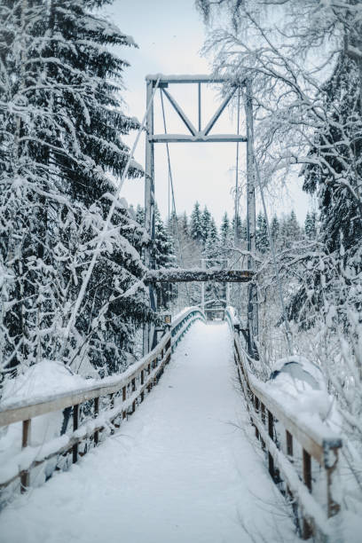 istock Bridge over arctic river in snowy forest, Vikakongas, in Rovaniemi, Lapland 2174445331