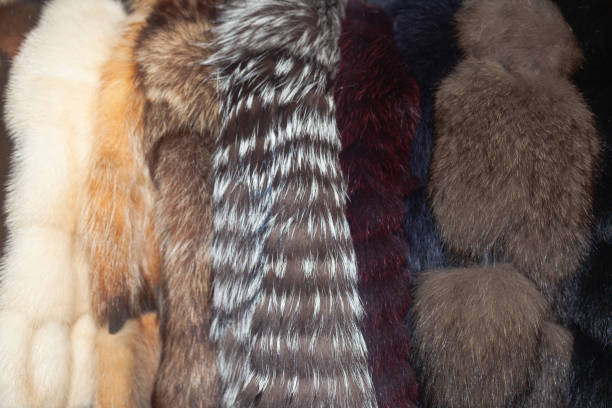 istock Fur winter coats hanging on hangers, close-up. 2174451532