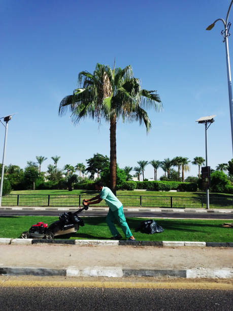 Sharm el Sheikh. Egypt - July 30, 2021:A local resident is engaged in landscaping, carefully mowing the grass on one of the city streets. The photo was taken during an summer holiday in Egypt.