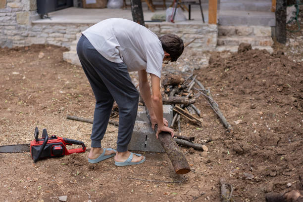 istock Talented young boy chopping wood with chainsaw in the garden. 2174453564