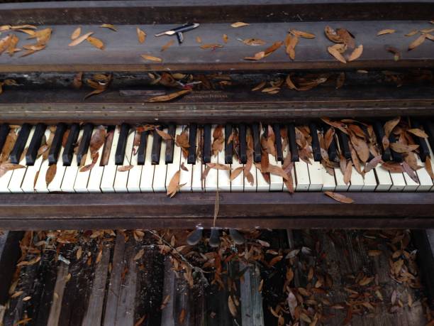 istock Piano in the woods 2174453798