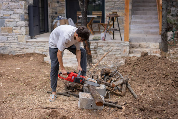 istock Talented young boy chopping wood with chainsaw in the garden. 2174454014