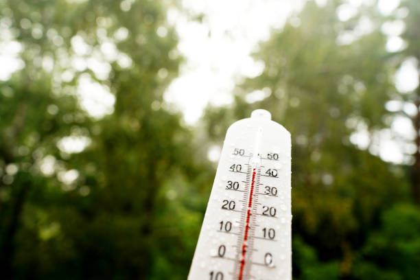 istock Thermometer for measuring outdoor air temperature. Tropical rain. 2174454718