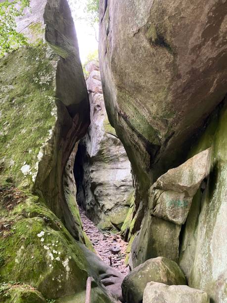 istock big caves in the forest 2174455402