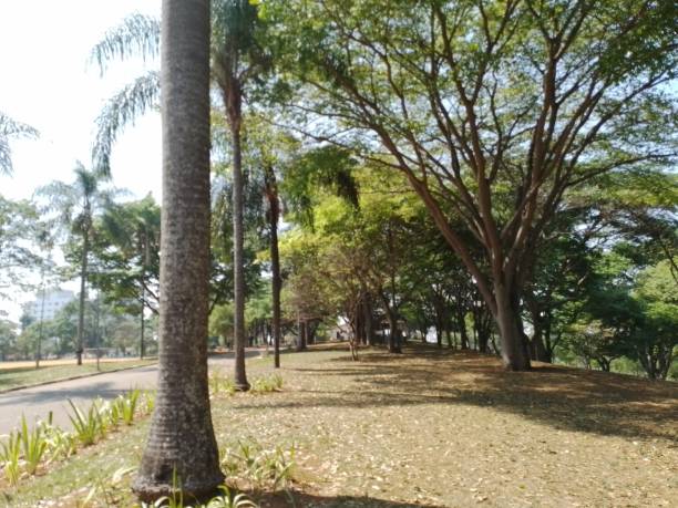 istock Early spring on a clear and sunny day [ a panorama ] 2174456368