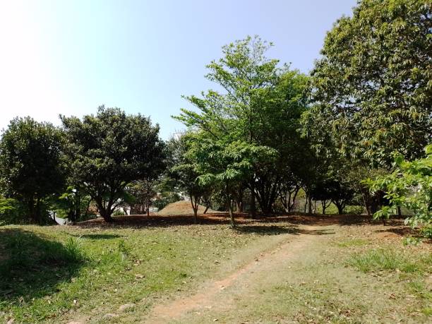 istock Early spring on a clear and sunny day [ a panorama ] 2174456649