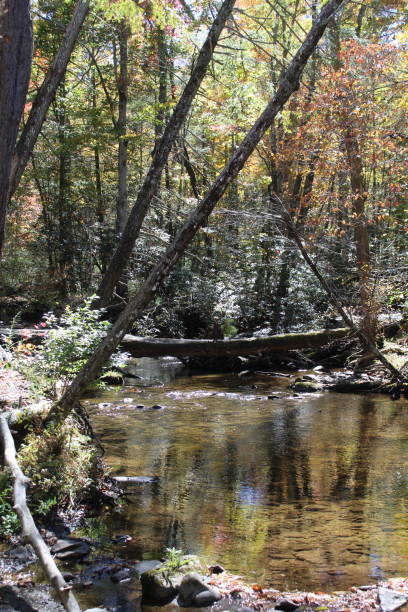 istock Creek in a cove 2174466702