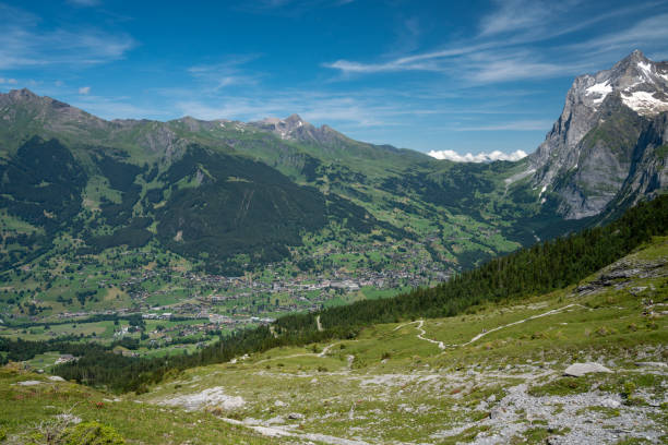 Beautiful summer view of a swiss alpine trail on a grassy mountain slope. Foothpath along the mountain sllope. Meadow with wild plants and flowers. Background with alpine mountains Cloudy summer day.