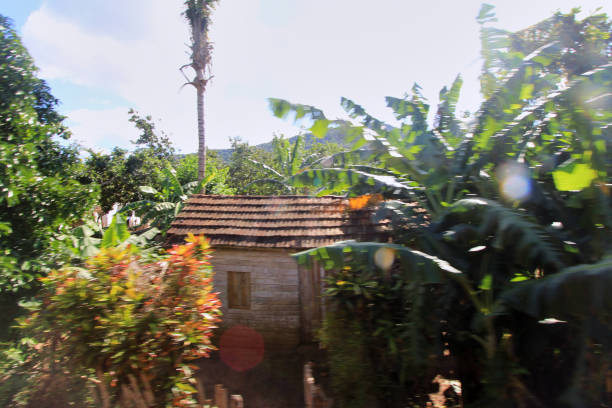 istock Rustic Cabin in Tropical Surroundings 2174471990