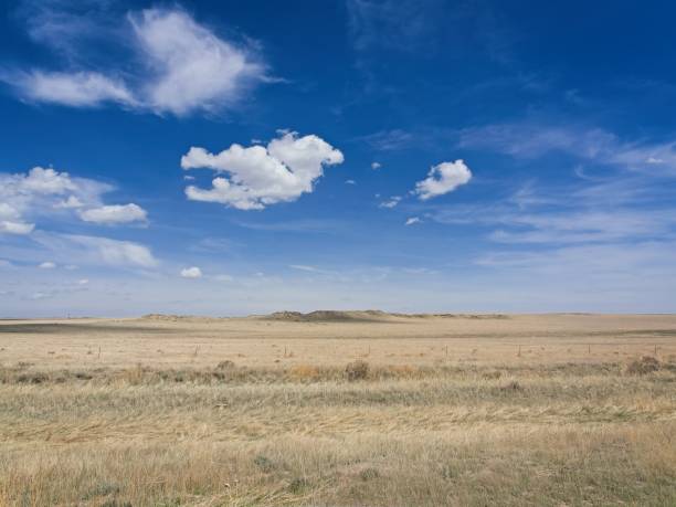 The vast expanse of short prairie grasses in the northeast Colorado environment of Pawnee National Grassland.