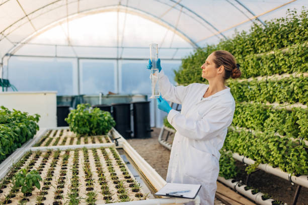 istock A female agricultural technologist in white lab coat examines water quality in a hydroponic greenhouse 2174477642