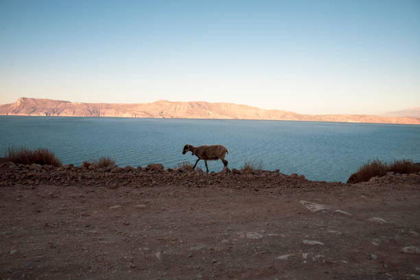 Namibian landscape at sunset