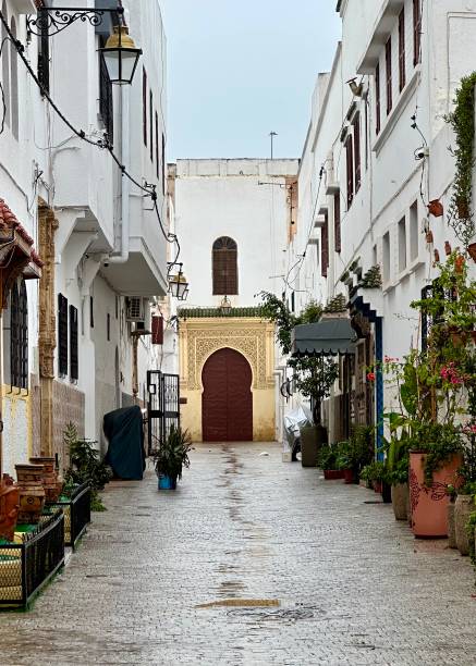istock Alley in Rabat 2174482555