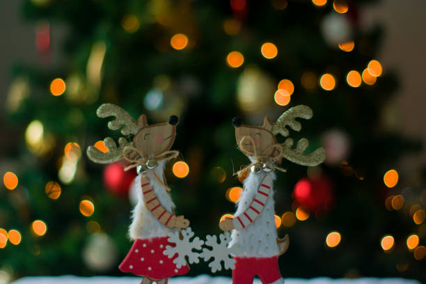 Close up view of lapland reinder's nose