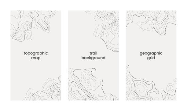 ilustrații de stoc cu set de modele verticale cu modele de etichete și hărți topografice izolate pe fundal subtil. grilă abstractă geografică de contur de linie. lovitură editabilă. relief topografic fundal vectorial alb subtil - topografie