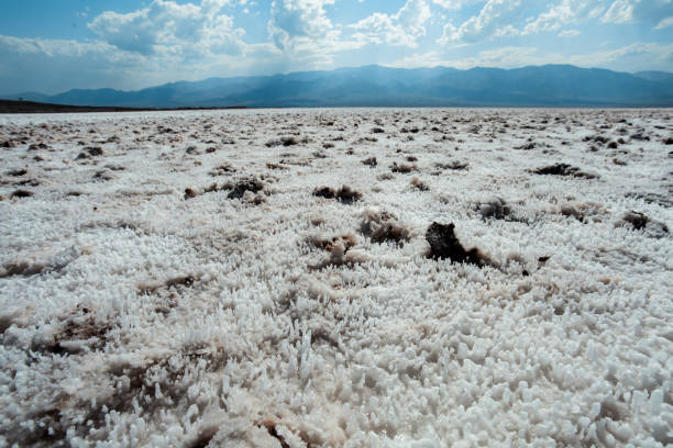 A vast expanse of salt spreads across the floor of Death Valley, forming intricate, cracked patterns on the parched earth.