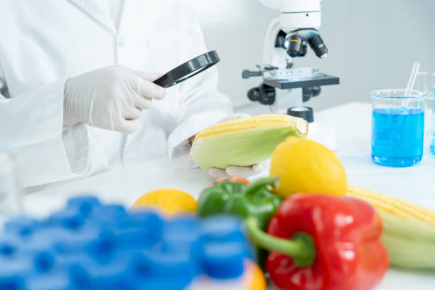 istock Scientist check chemical fruit residues in laboratory. Control experts inspect the concentration of chemical residues. hazards, standard, find prohibited substances, contaminate, Microbiologist 2174520705