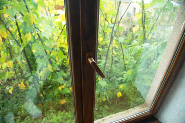 View from the window, green trees, landscape with flower.