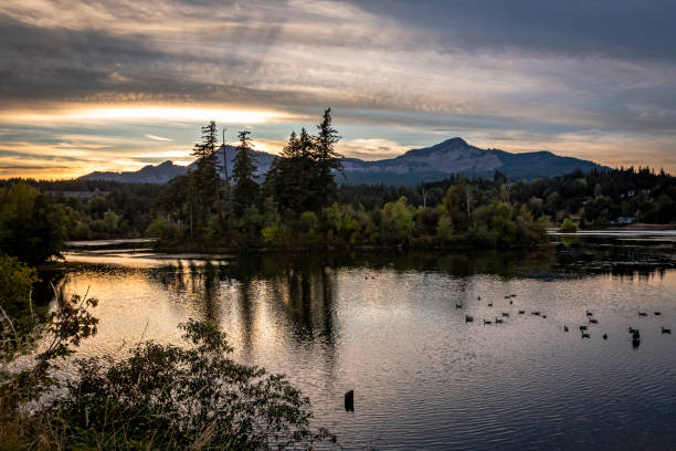 Beautiful pond reflection with Canadian geese on the water surface in Wind River area in the Columbia River Gorge in Washington