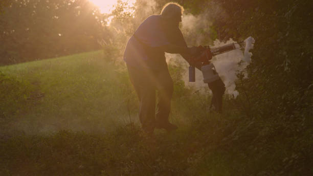 istock LENS FLARE: Elderly woman performs fogging in a dense forest at sunrise 2174525517