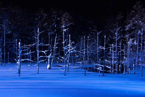 istock Illuminated fantastic winter blue pond in Biei 2174531376