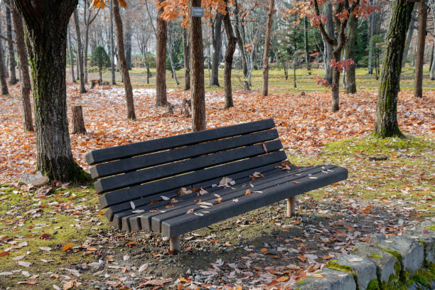 istock Park bench in early winter with dead leaves on it 2174531509