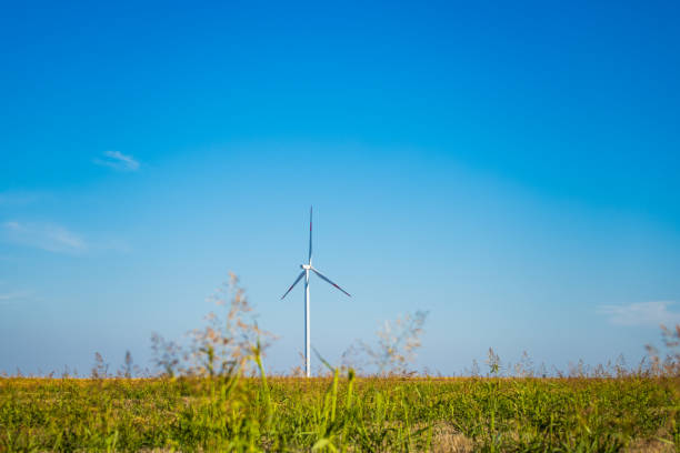 Wind turbines on a renewable energy farm in a rural Serbian landscape, operating under bright sunny skies, highlighting sustainable green energy sources.