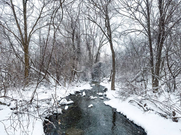 istock snow covered trees in the forest, creek water flows 2174534347