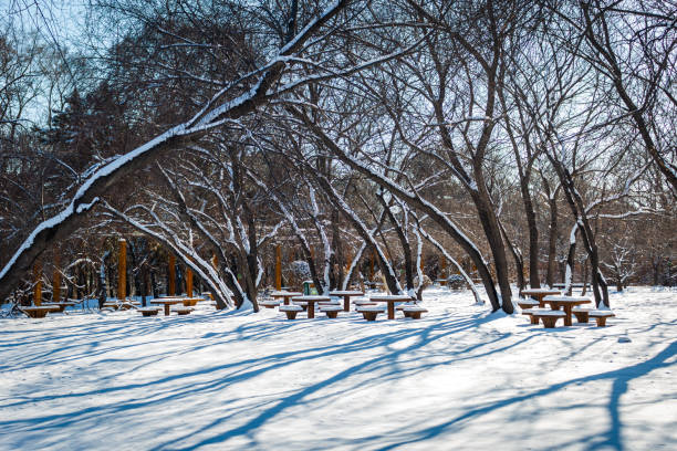 snow landscape